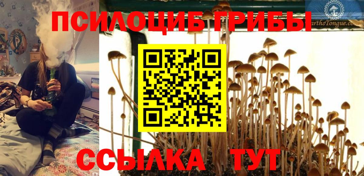 Галлюциногенные грибы MAGIC MUSHROOMS  Псилоцибиновые грибы мицелий  Великий Устюг  Вход с VPN 